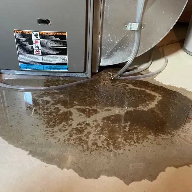 Appliance Leak Cleanup in Moose Wilson Road, WY